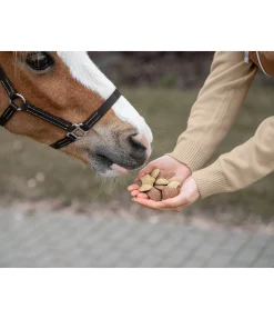 Sale Assortiment de friandises Rêve hivernal Friandises & Récompenses