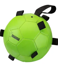 Clearance Balle de jeu Jouets Pour Chevaux