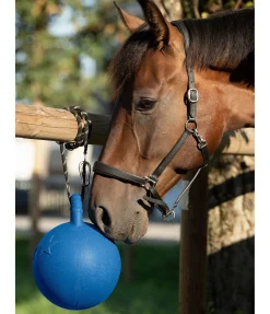 Sale Balle de jeu Bruno Jouets Pour Chevaux|Équipement Pour Le Box
