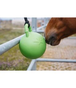 Clearance Balle de jeu Bruno Jouets Pour Chevaux|Équipement Pour Le Box