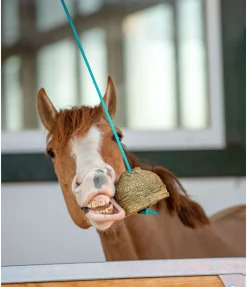 Online Balle de jeu Pomme Friandises & Récompenses|Pierres À Lécher & Accessoires