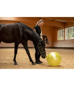 Outlet Balle de jeu pour cheval Jouets Pour Chevaux