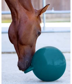 New Balle de jeu pour cheval Jouets Pour Chevaux