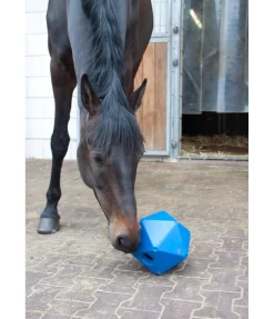 Outlet Balle de jeu pour récompenses Friandises & Récompenses|Jouets Pour Chevaux