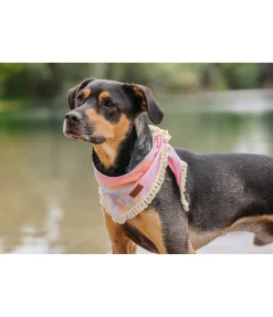 Discount Bandana Batik pour chien Dakota Accessoires Pour Chien