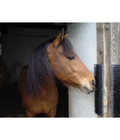 New Bande de massage et de brossage Équipement Pour Le Box|Jouets Pour Chevaux