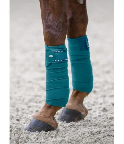 Bandes en polaire Brilliant Bandes & Sous-Bandages