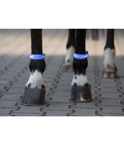 Outlet Bandes LED Loom Guêtres