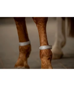 Clearance Bandes LED Loom Guêtres