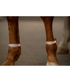 Clearance Bandes LED Loom Guêtres