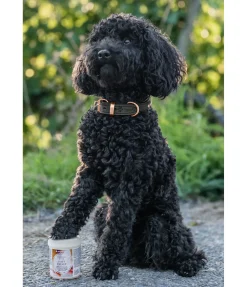 Sale Baume coussinets pour chien Soft Velvet Produits De Soin Pour Chien