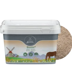 Online Biotine + Aliments Complémentaires|Produits Dermite Estivale