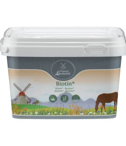 Online Biotine + Aliments Complémentaires|Produits Dermite Estivale