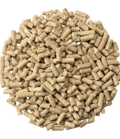 New Biotine Booster Aliments Complémentaires