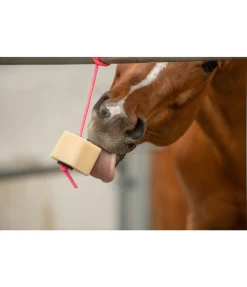 Best Bonbon à lécher Vanille Kipferl Pierres À Lécher & Accessoires