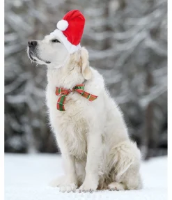 Hot Bonnet de Noël pour chien Santa Accessoires Pour Chien