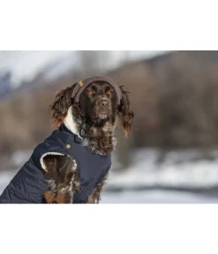 Outlet Bonnet pour chien Evin Accessoires Pour Chien