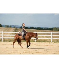 Boots western pro Guêtres