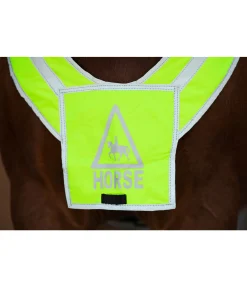 Best Bricole réfléchissante Colliers De Chasse & Martingales