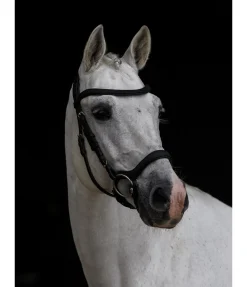 Hot Bridon Albury II Competition Muserolle Allemande & Croisée|Muserolle Française & Combinée