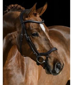 Discount Bridon Albury II Competition & Crystal Muserolle Allemande & Croisée|Muserolle Française & Combinée