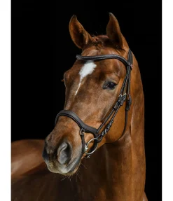 Discount Bridon Albury II Competition & Crystal Muserolle Allemande & Croisée|Muserolle Française & Combinée