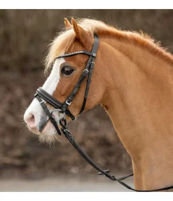 Sale Bridon Ally Muserolle Française & Combinée