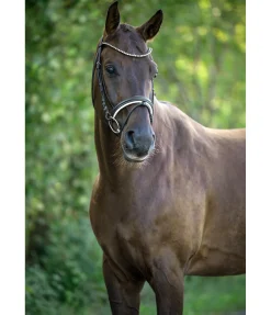 New Bridon Ally Muserolle Française & Combinée