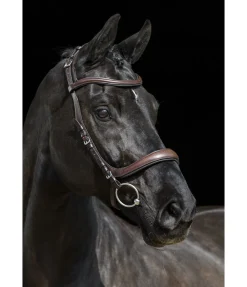 Clearance Bridon Anatomical Vision Space Muserolle Française & Combinée