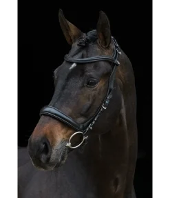 Online Bridon Anatomical Vision Space Muserolle Française & Combinée