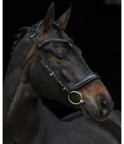 Online Bridon Anatomical Vision Space Muserolle Française & Combinée