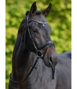 Outlet Bridon Beauty Muserolle Française & Combinée