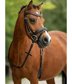 Outlet Bridon Beauty Muserolle Française & Combinée