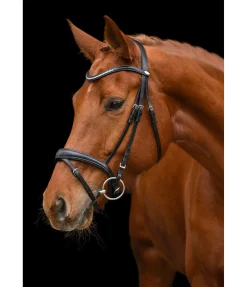 Sale Bridon Chicago Muserolle Française & Combinée