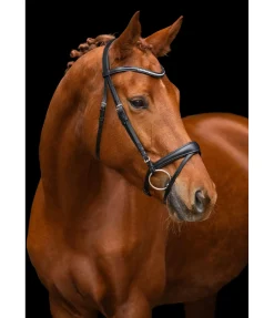 Sale Bridon Chicago Muserolle Française & Combinée