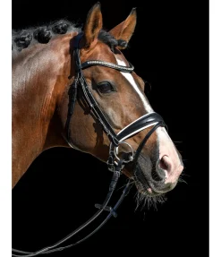 Hot Bridon Classic Muserolle Suédoise & Brides
