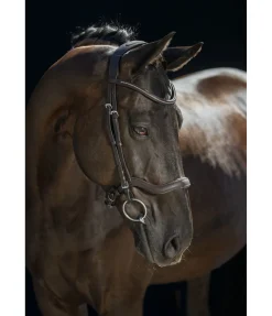 Bridon Comfort Space Muserolle Française & Combinée