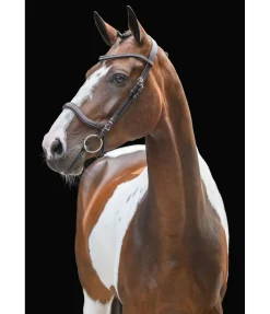 Bridon Comfort Space Muserolle Française & Combinée