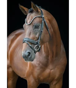 New Bridon Eloise Muserolle Française & Combinée