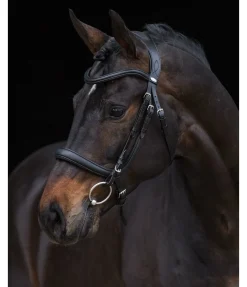 New Bridon Gently Anatomical Innovation Muserolle Française & Combinée