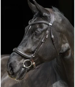 Online Bridon Gently Anatomical Innovation Muserolle Française & Combinée