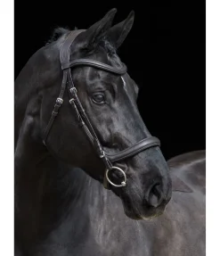 Online Bridon Gently Anatomical Innovation Muserolle Française & Combinée