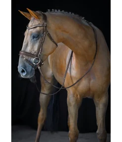 Best Bridon Marley Muserolle Française & Combinée