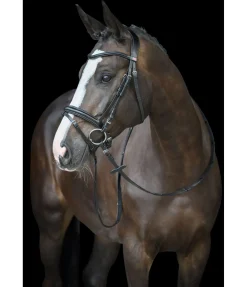 Sale Bridon Melodie Muserolle Française & Combinée