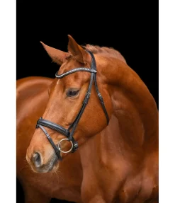 Clearance Bridon Miami Muserolle Française & Combinée