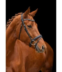 Clearance Bridon Miami Muserolle Française & Combinée