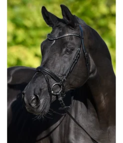 New Bridon Panama Muserolle Française & Combinée