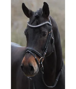 Online Bridon Rosalinde Muserolle Française & Combinée