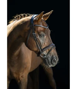 Discount Bridon Shiny Gloss Muserolle Française & Combinée