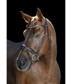 Discount Bridon Shiny Gloss Muserolle Française & Combinée